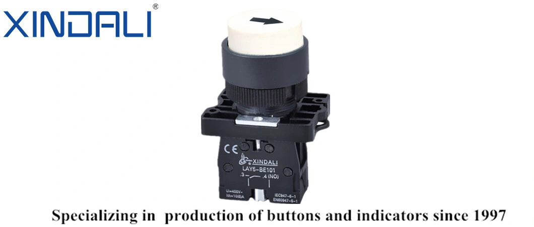 Lay5-EL3341 Plastic Latching Push Button Switches with Symbol of Marking